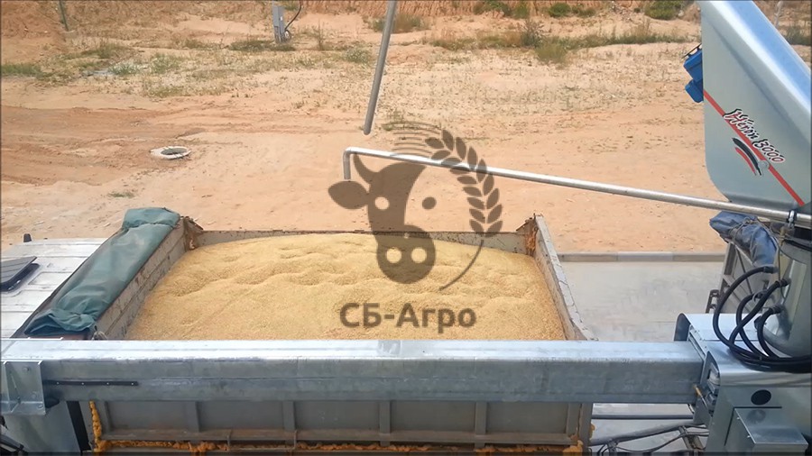 отбор проб зерна - пробоотборник